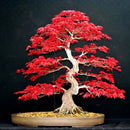 Sementes Bonsai Premium